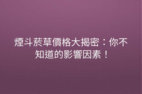 煙斗菸草價格大揭密：你不知道的影響因素！