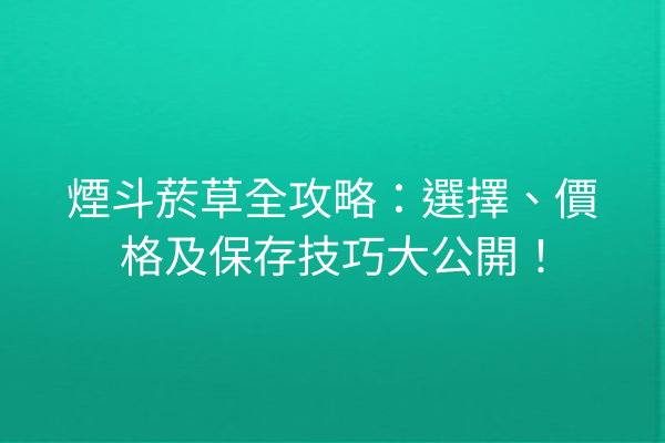 煙斗菸草全攻略：選擇、價格及保存技巧大公開！