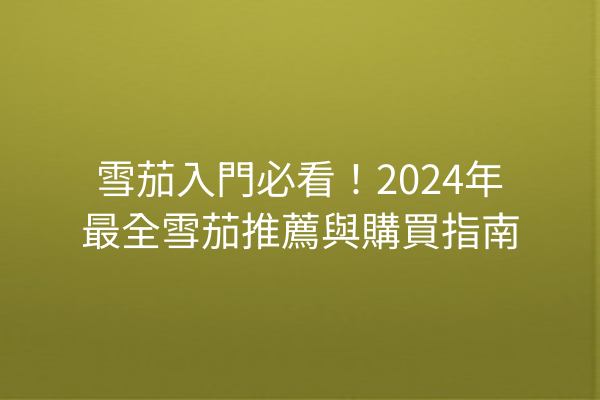 雪茄入門必看！2024年最全雪茄推薦與購買指南